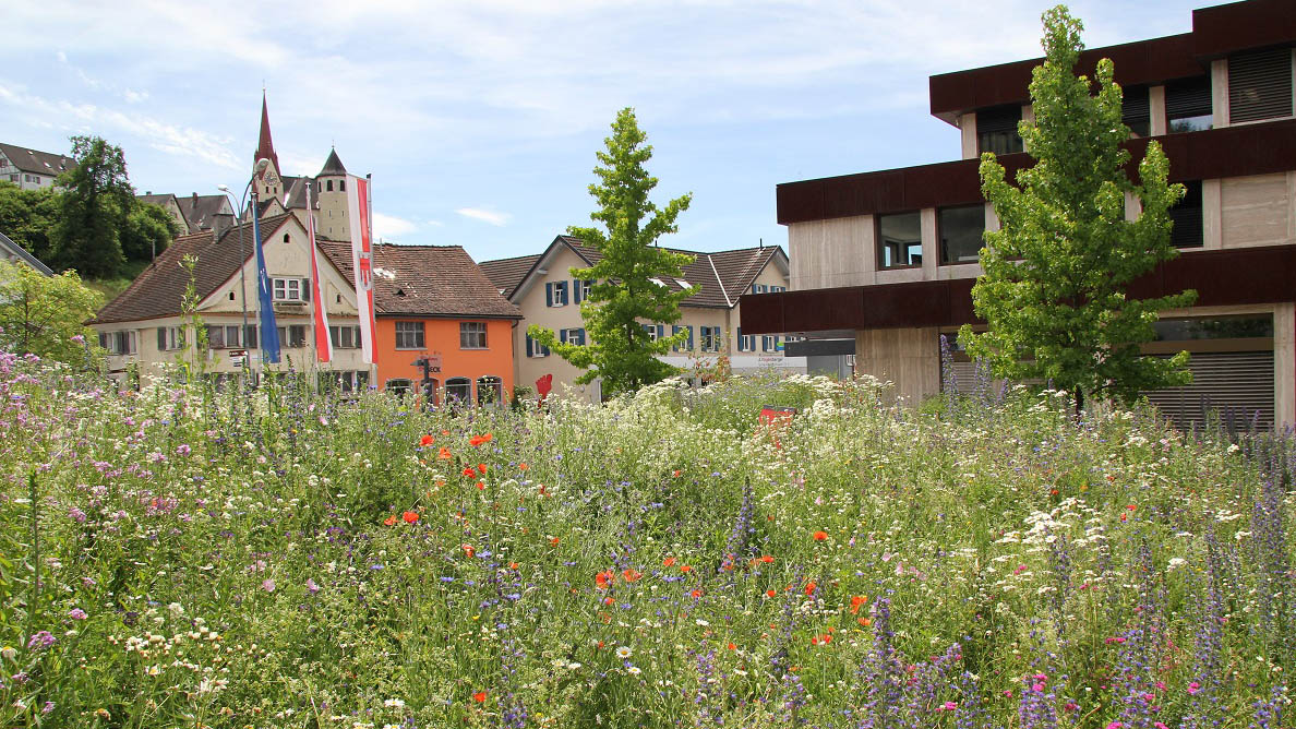 Blumenwiesen in Gemeinden